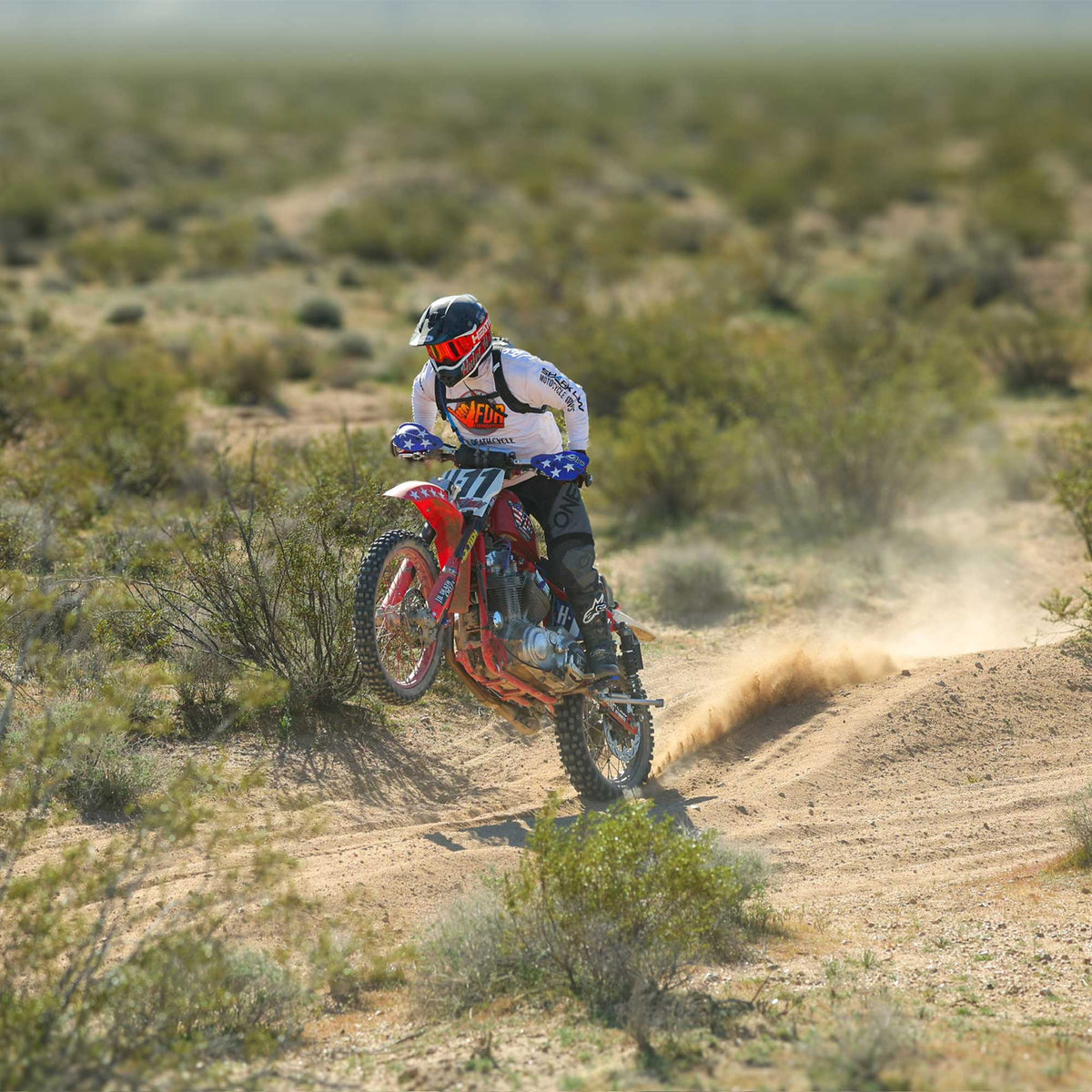 DESERT HOOLIGAN
